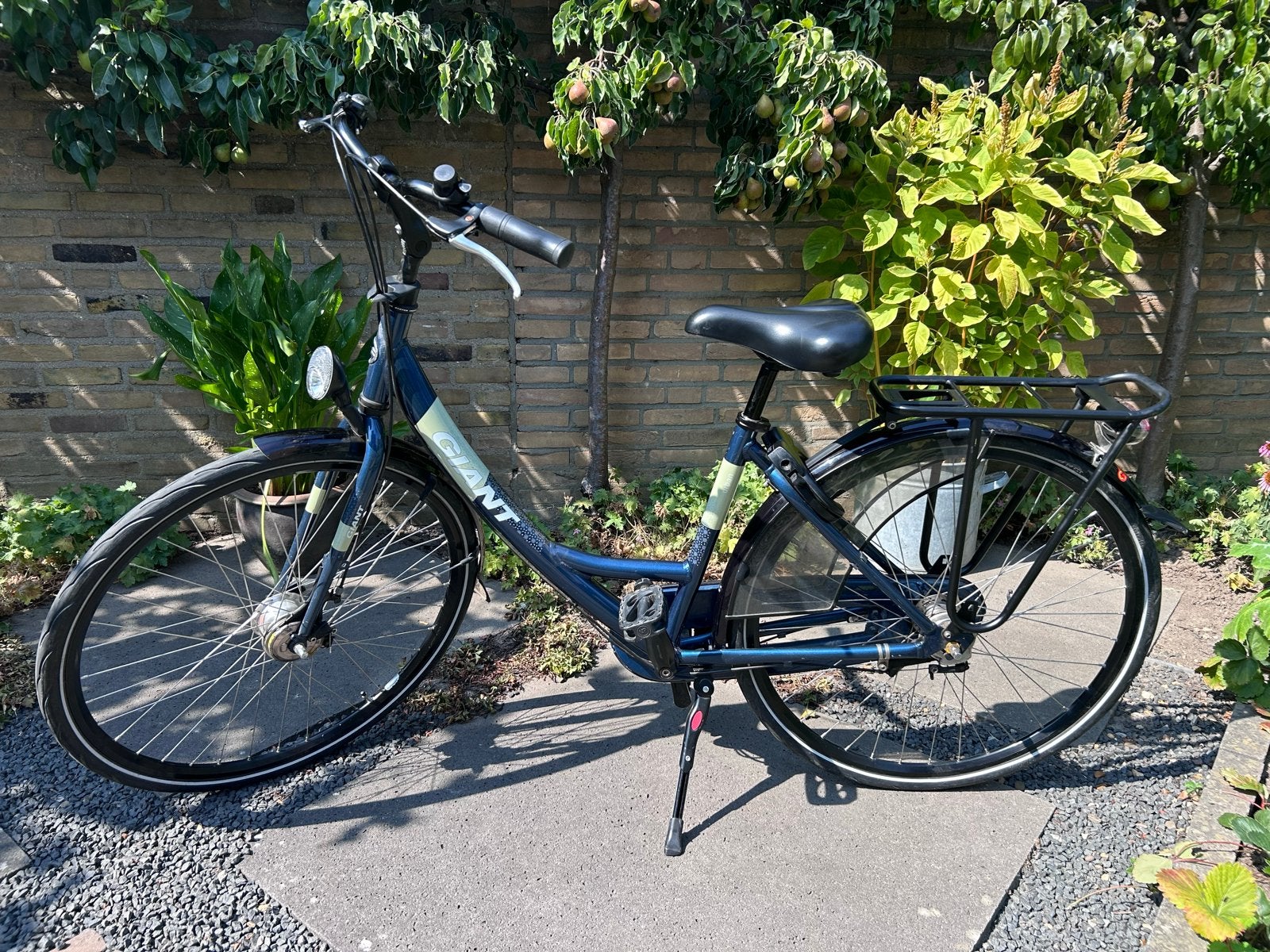 Mooie Giant Urban Meisjesfiets, Fietsen en Brommers, Gebruikt, Handrem, Trommelrem, Ophalen