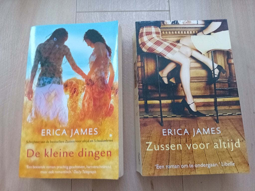 Erica James - De kleine dingen & Zussen voor altijd., Gelezen, Ophalen of Verzenden, Nederland, Erica James