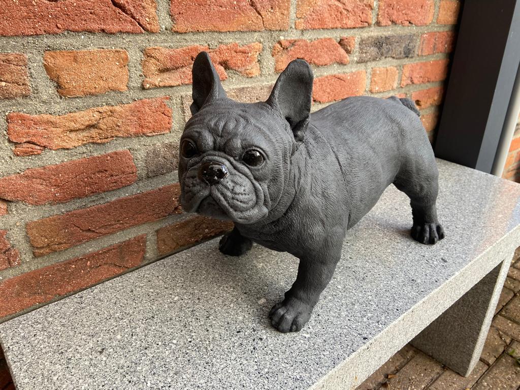 Franse bulldog., Ophalen, Nieuw, Beton, Dierenbeeld