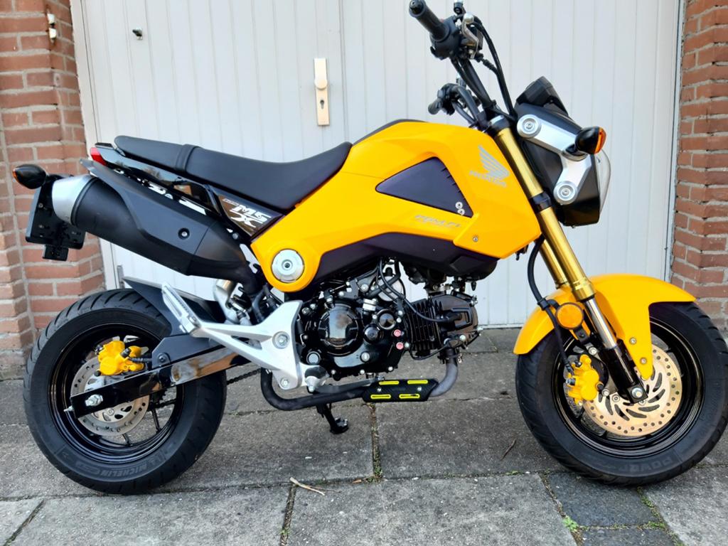 Honda 125 MSX, Speciale uitvoering.