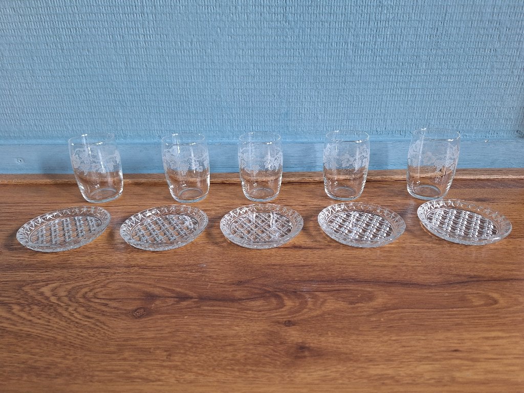 Set van 5 gegraveerde shotglaasjes met 5 glazen onderzetters, Verzamelen, Ophalen of Verzenden, Zo goed als nieuw, Borrel- of Shotglas