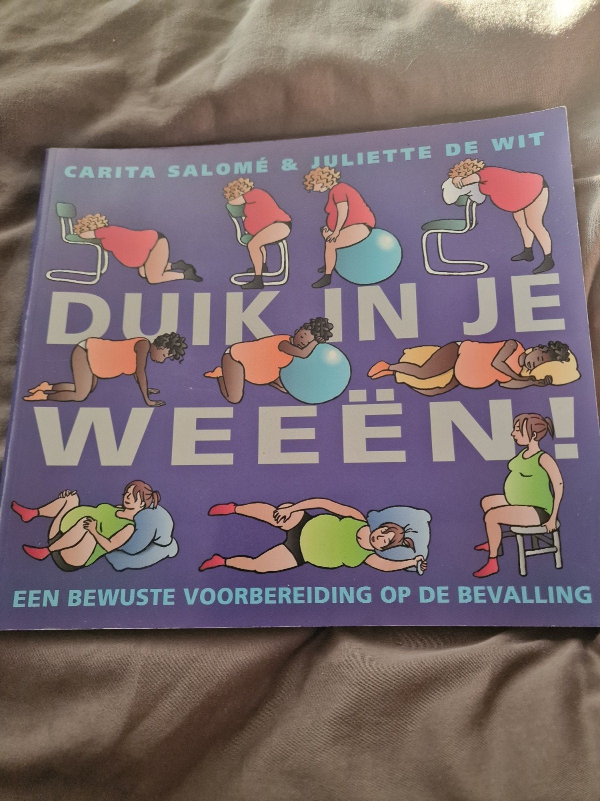 Duik in je weeën! Bewust voorbereiden op de bevalling, Ophalen of Verzenden, Zo goed als nieuw, Zwangerschap en Bevalling, Carita Salomé & Juliette de Wit