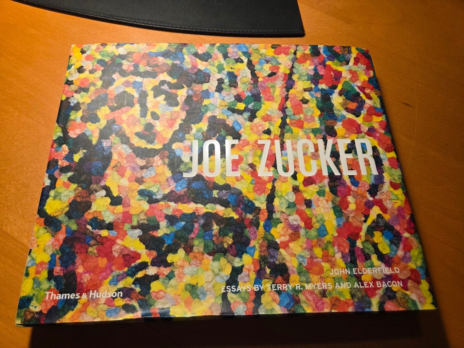 Joe Zucker - Thames & Hudson Monografie, Boeken, Ophalen of Verzenden, Zo goed als nieuw, John Elderfield, Terry R. Myers, Alex Bacon