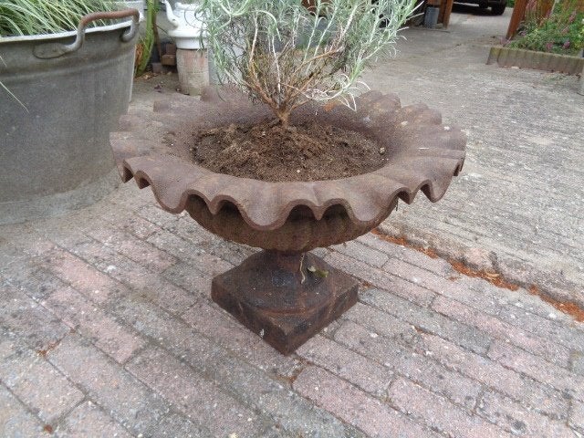 Grote gietijzeren tuinvaas / pot (42 x 29 cm)., Tuin en Terras, Tuinvazen, Ophalen, Gebruikt