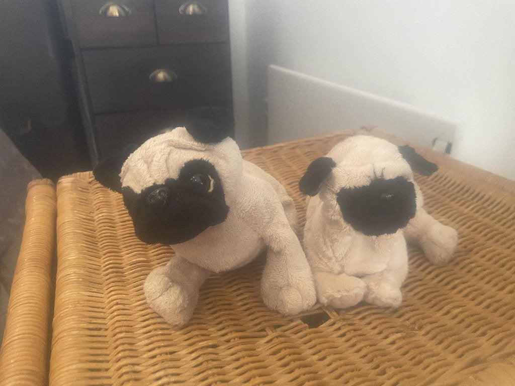 Set Mopshond Knuffels - FurReal Friends Newborn Pug, Ophalen, Overige merken, Hond, Zo goed als nieuw
