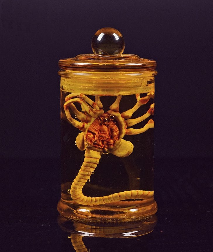 Alien Facehugger / Larve Sterk Water Film Movie Prop, Verzenden, Nieuw, Film, Beeldje, Replica of Model