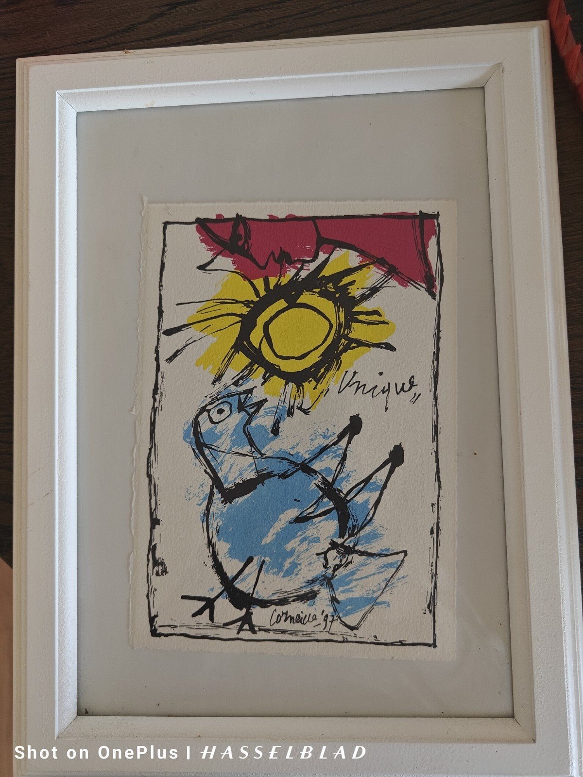 Corneille - Uniek Zeefdruk '97 - Vogel en Zon, Ingelijst, Ophalen of Verzenden, Dieren en Natuur, Zeefdruk