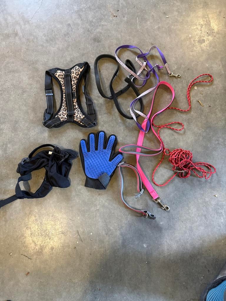 Puppy accessoires, Dieren en Toebehoren, Ophalen of Verzenden
