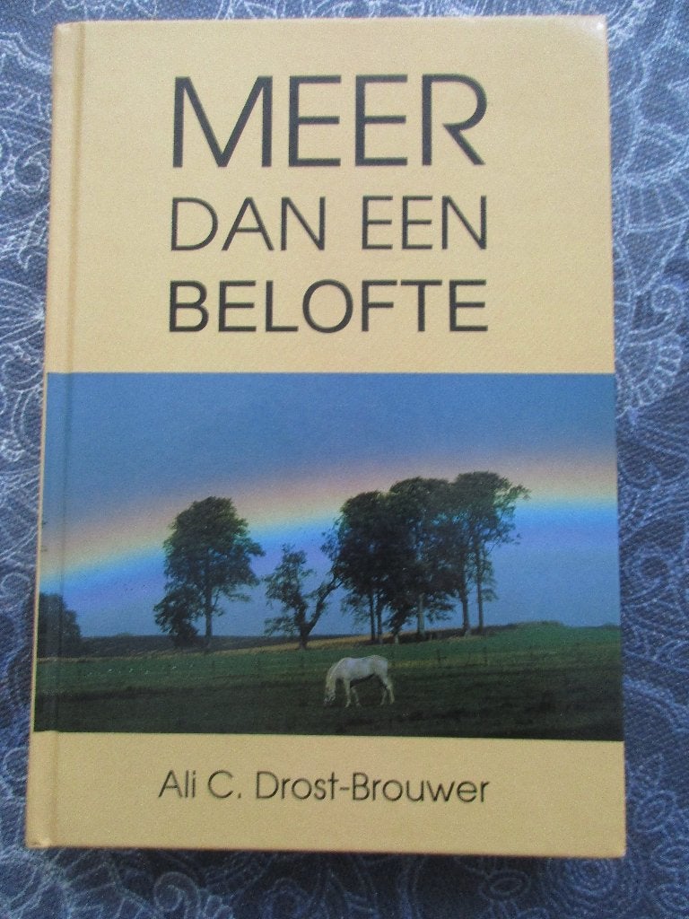 Ali C Drost Brouwer - Meer dan een belofte, Ophalen of Verzenden, Gelezen