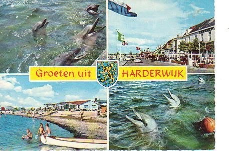 Ansichtkaart 	Harderwijk	4-luik	Dolfijnen, Verzenden, 1960 tot 1980, Gelopen, Gelderland