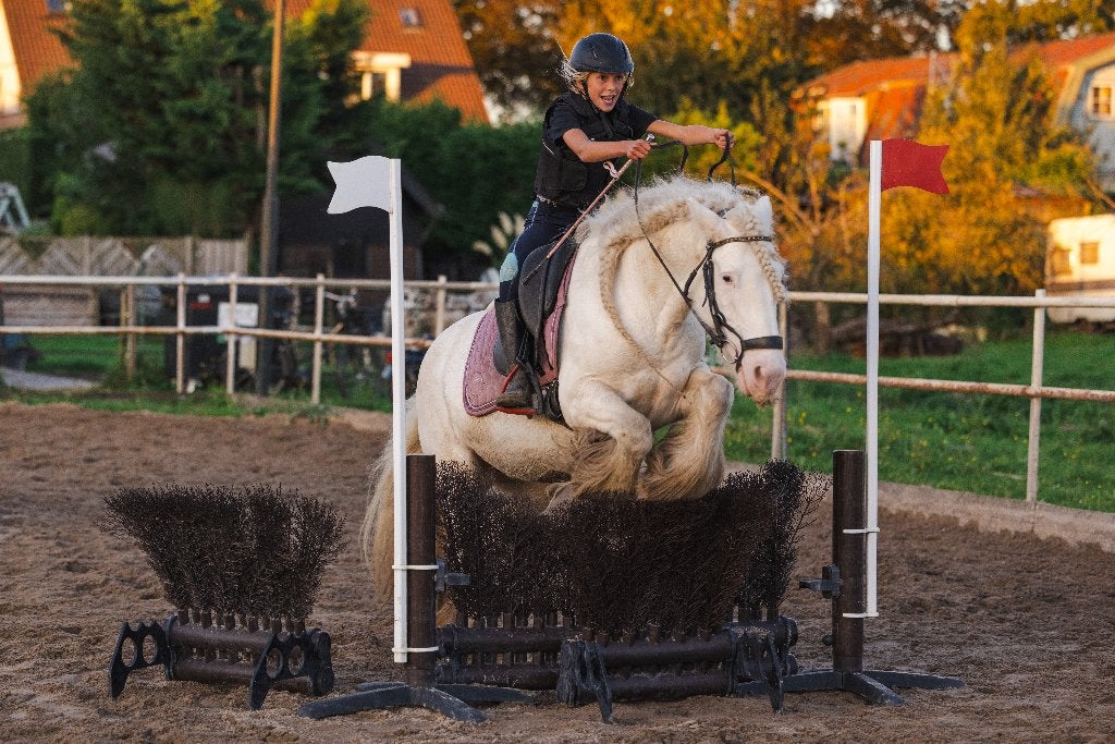 Op zoek naar leuke (spring)ruiter voor sport Tinker!, Stalling
