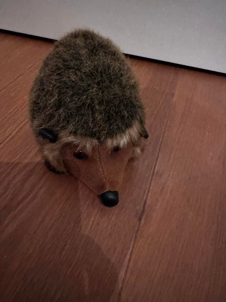 Nieuwe egel knuffel, 18 cm, Ophalen of Verzenden, Nieuw, Overige typen