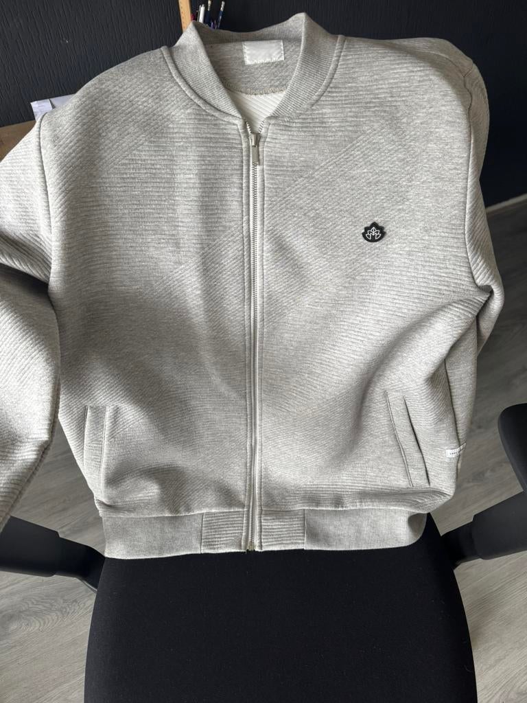 Vest licht grijs xl, Ophalen of Verzenden, Zo goed als nieuw, Maat 56/58 (XL), Grijs