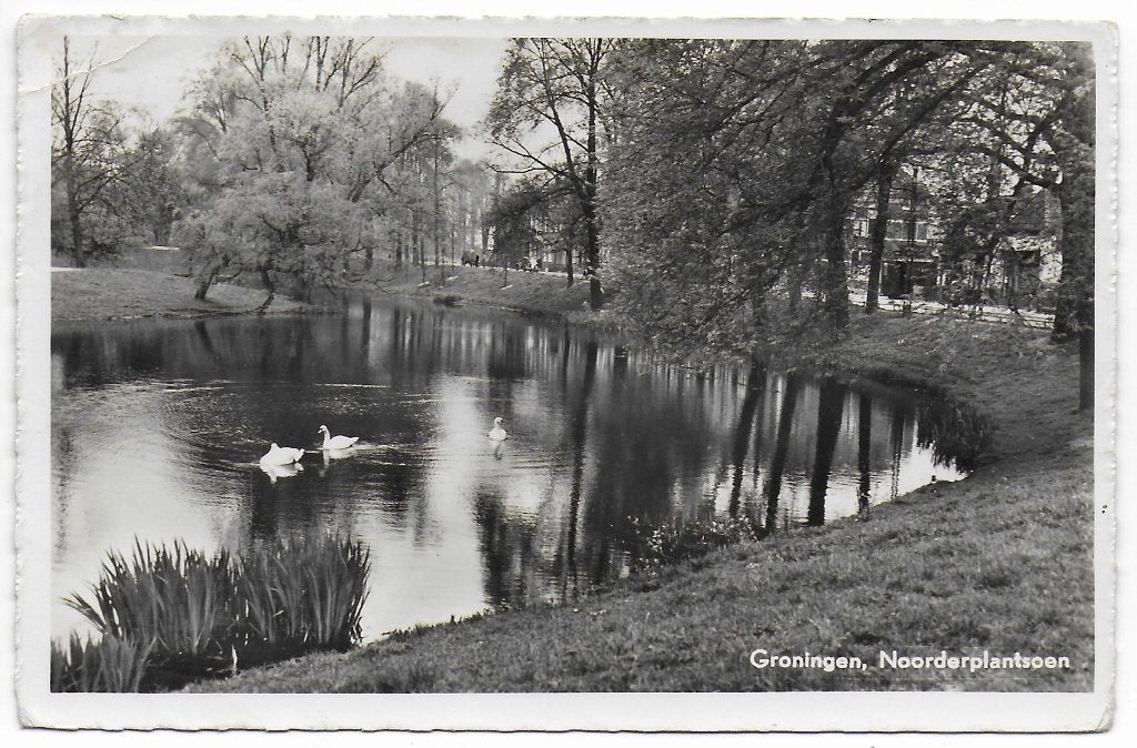 Groningen Noorderplantsoen ansichtkaart B8136 uit 1955, Ophalen of Verzenden, 1940 tot 1960, Gelopen, Groningen