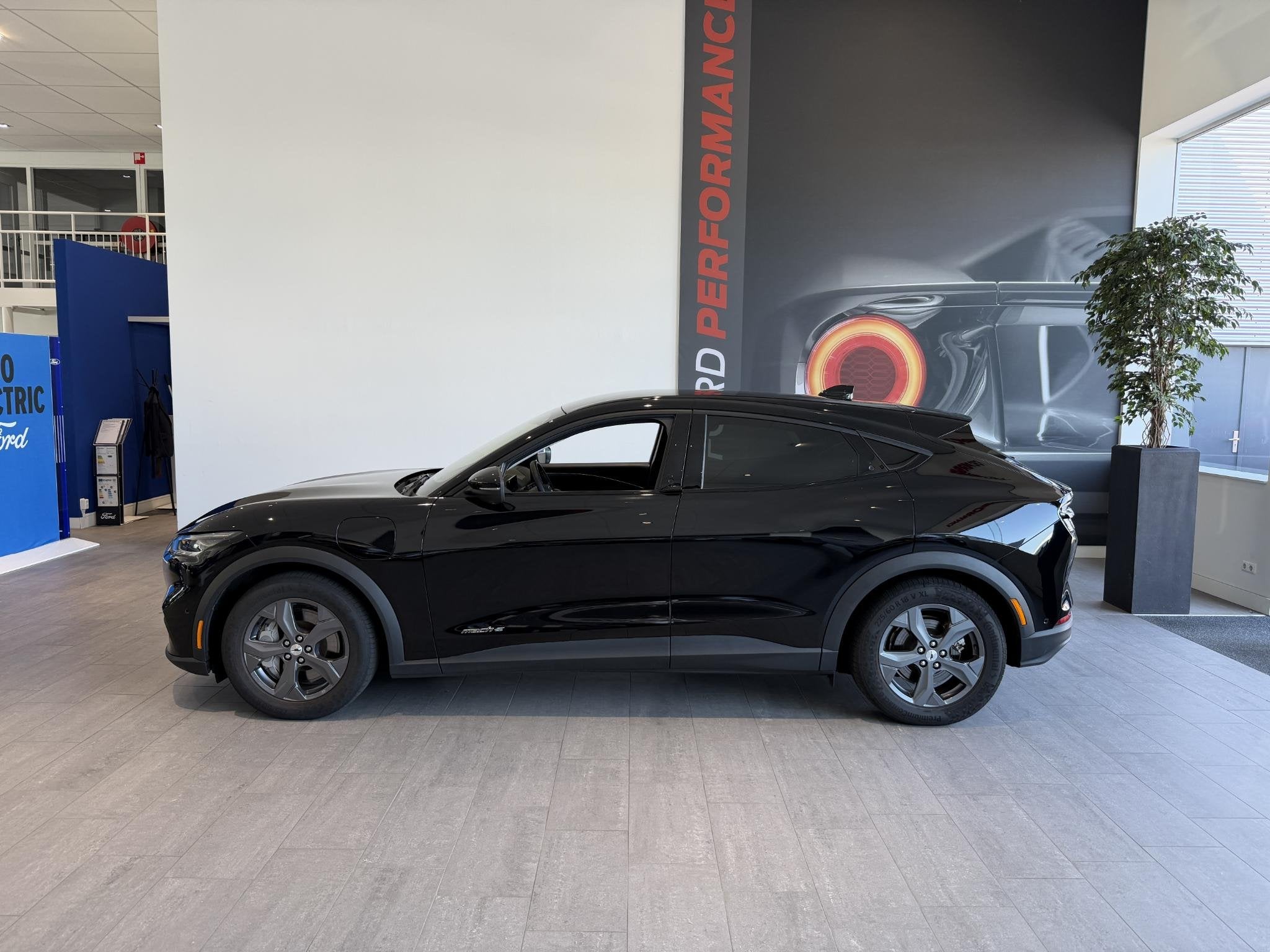 Ford Mustang Mach-E RWD 75 kWh | WINTERPACK | ADAPTIVE CRUIS, Automaat, 12 maanden, Achterwielaandrijving, Gebruikt