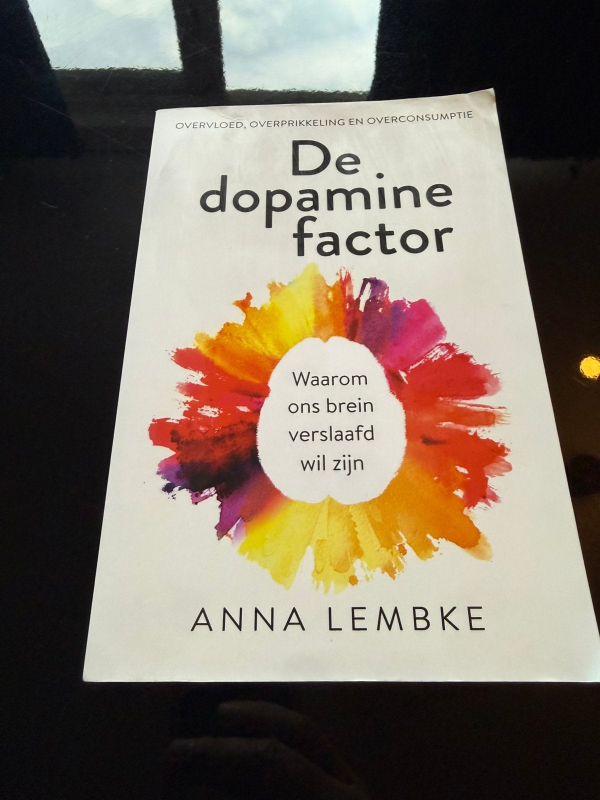 Anna Lembke - De dopaminefactor, Ophalen of Verzenden, Zo goed als nieuw, Anna Lembke
