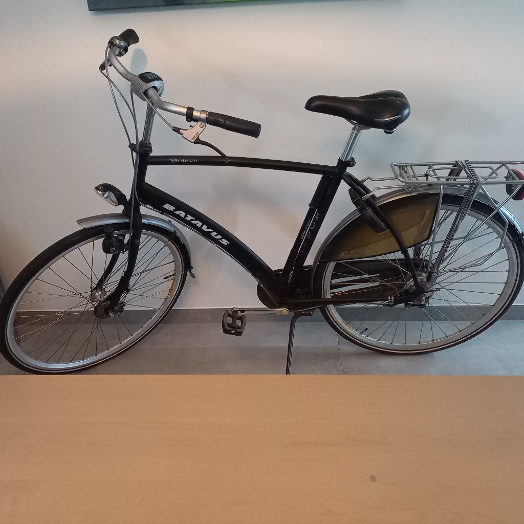 Batavus Padova, Ophalen, Gebruikt, Versnellingen, Batavus