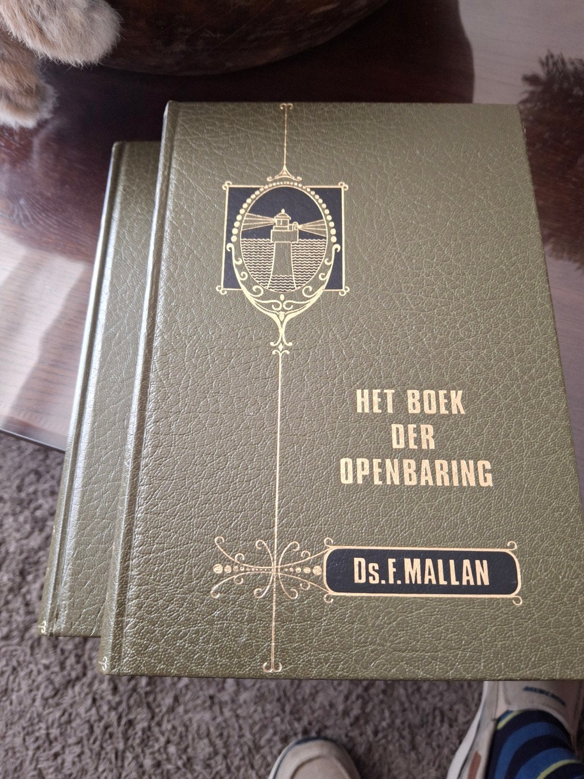 Het boek der openbaringen Ds F Mallan, Boeken, Ophalen of Verzenden, Zo goed als nieuw