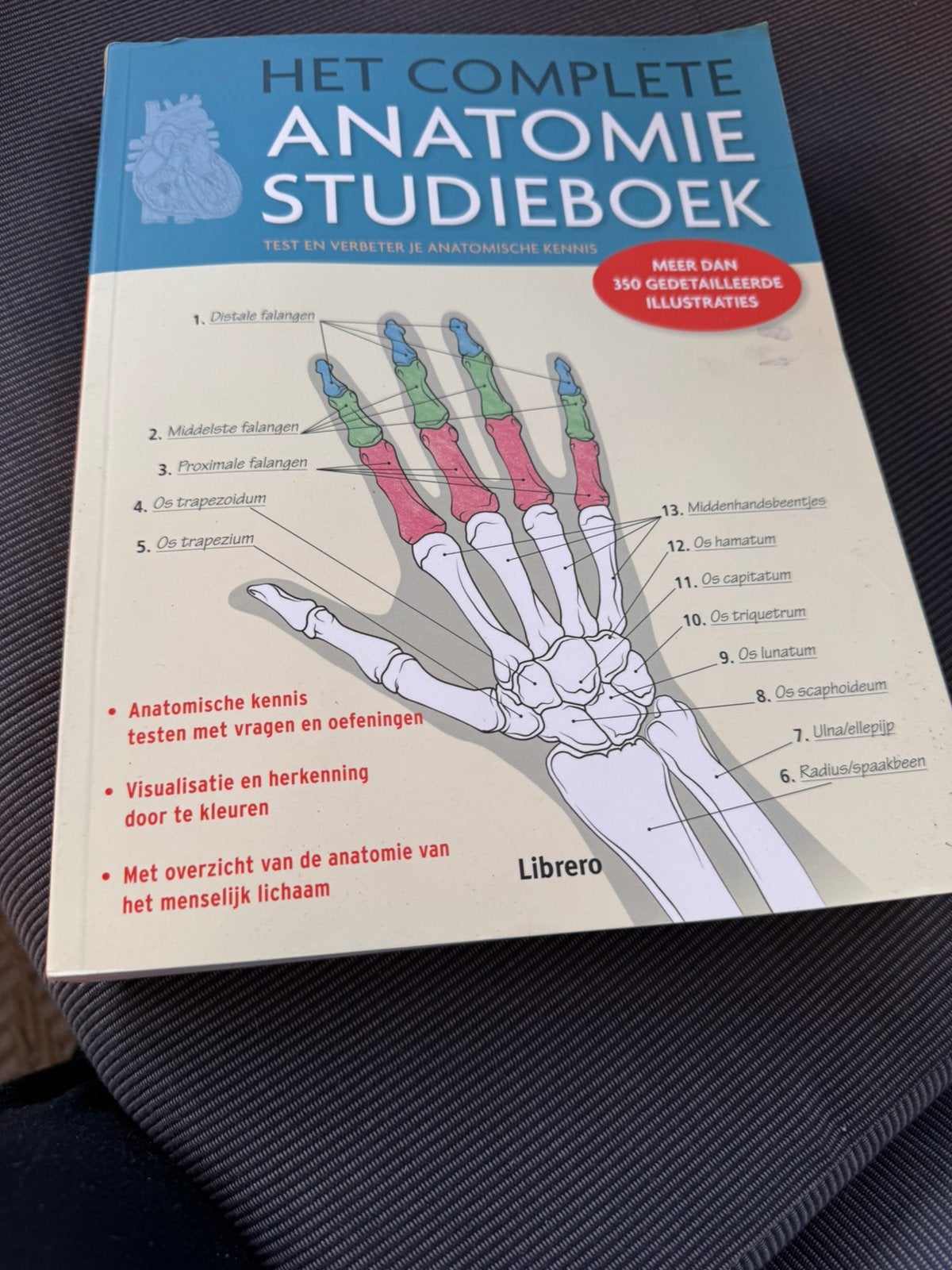 Ken Ashwell - Het complete anatomie studieboek, Ophalen, Zo goed als nieuw, Ken Ashwell