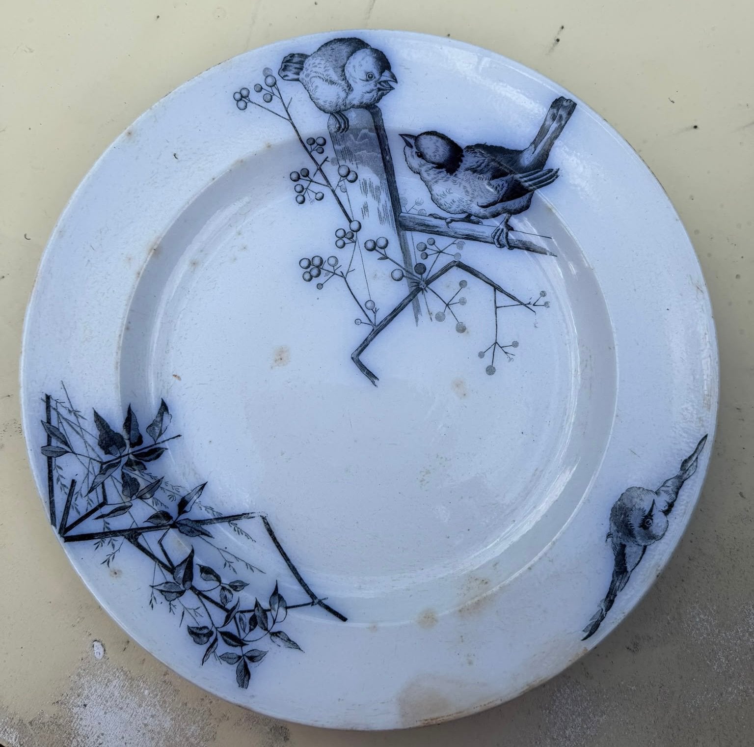 Petrus Regout - Plata twee grote borden, Ophalen