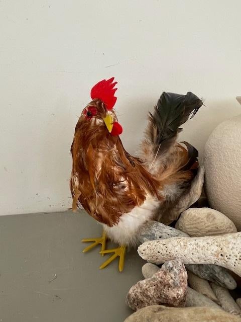 Decoratie kip met echte veren., Ophalen, Gebruikt