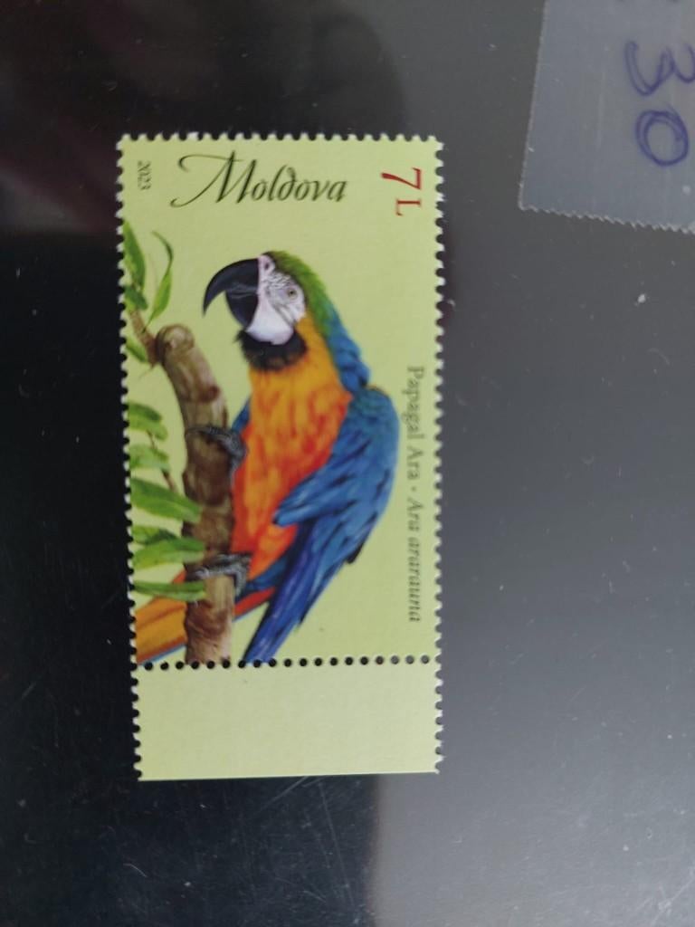 Moldavie   Papegaai, Verzenden, Postfris, Dier of Natuur