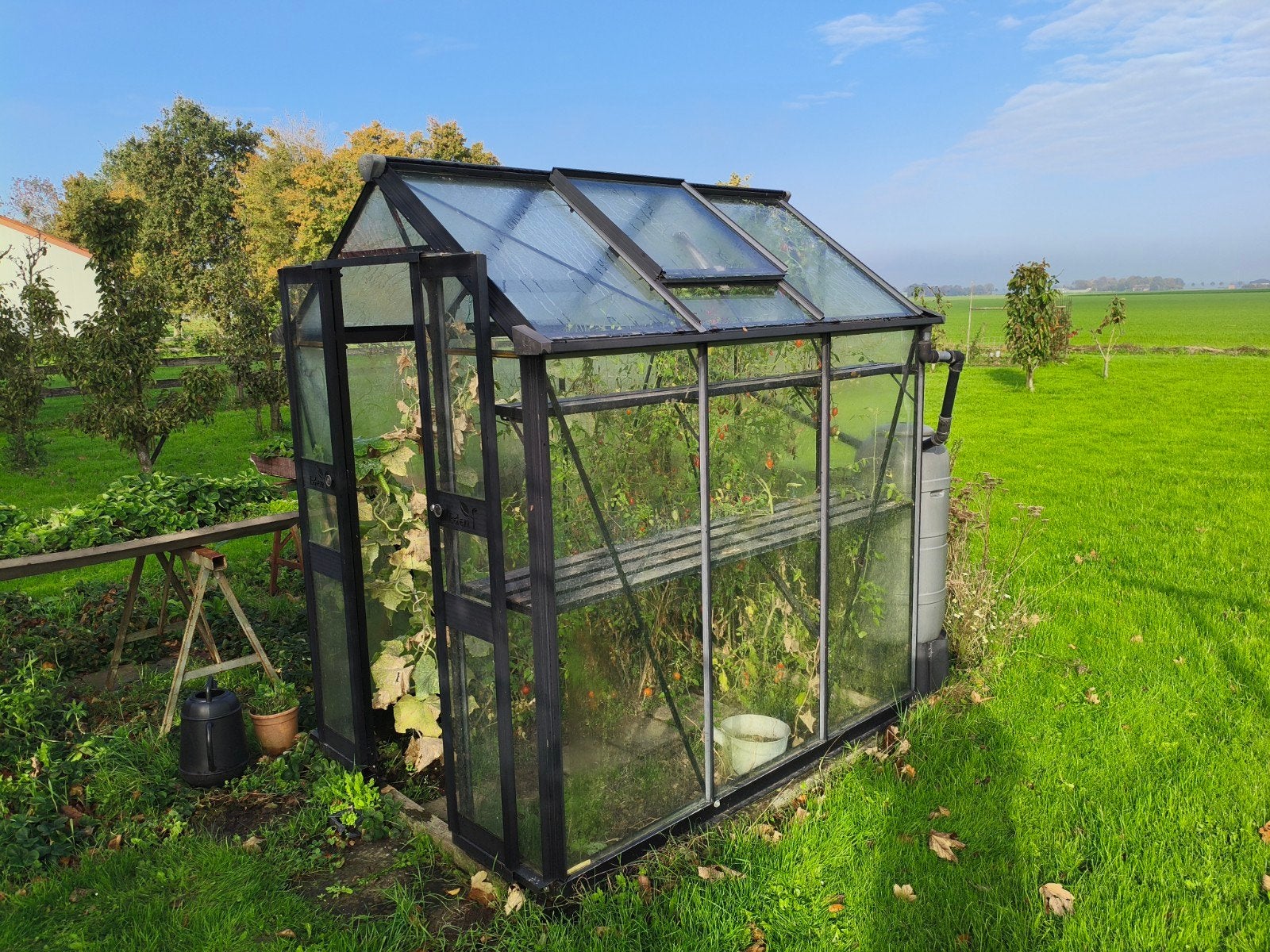 Eden kas met aluminium frame, Ophalen, Gebruikt, Kweekkas, Glas
