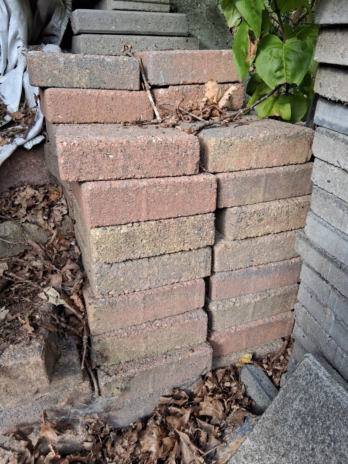 tegels 20 x 20, Tuin en Terras, Ophalen, Gebruikt, Beton, Terrastegels
