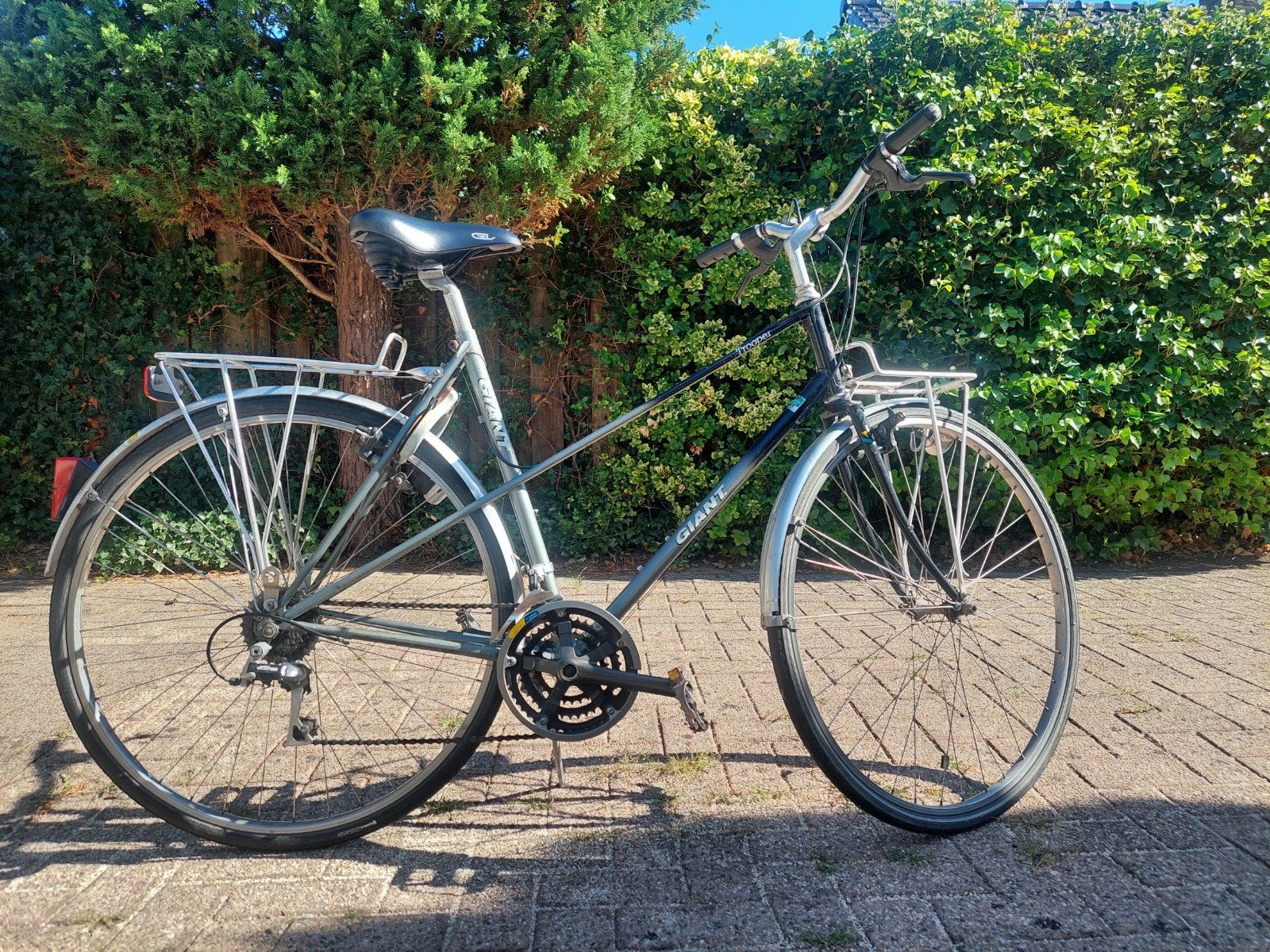 Giant damesfiets met voordrager, Ophalen, Velgrem, Giant, Meer dan 20 versnellingen