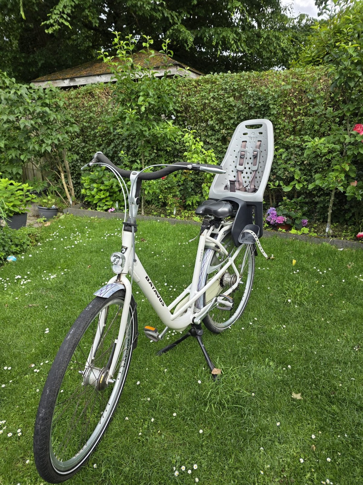 Batavus Mambo Deluxe, Ophalen, Versnellingen, Batavus, 53 tot 56 cm