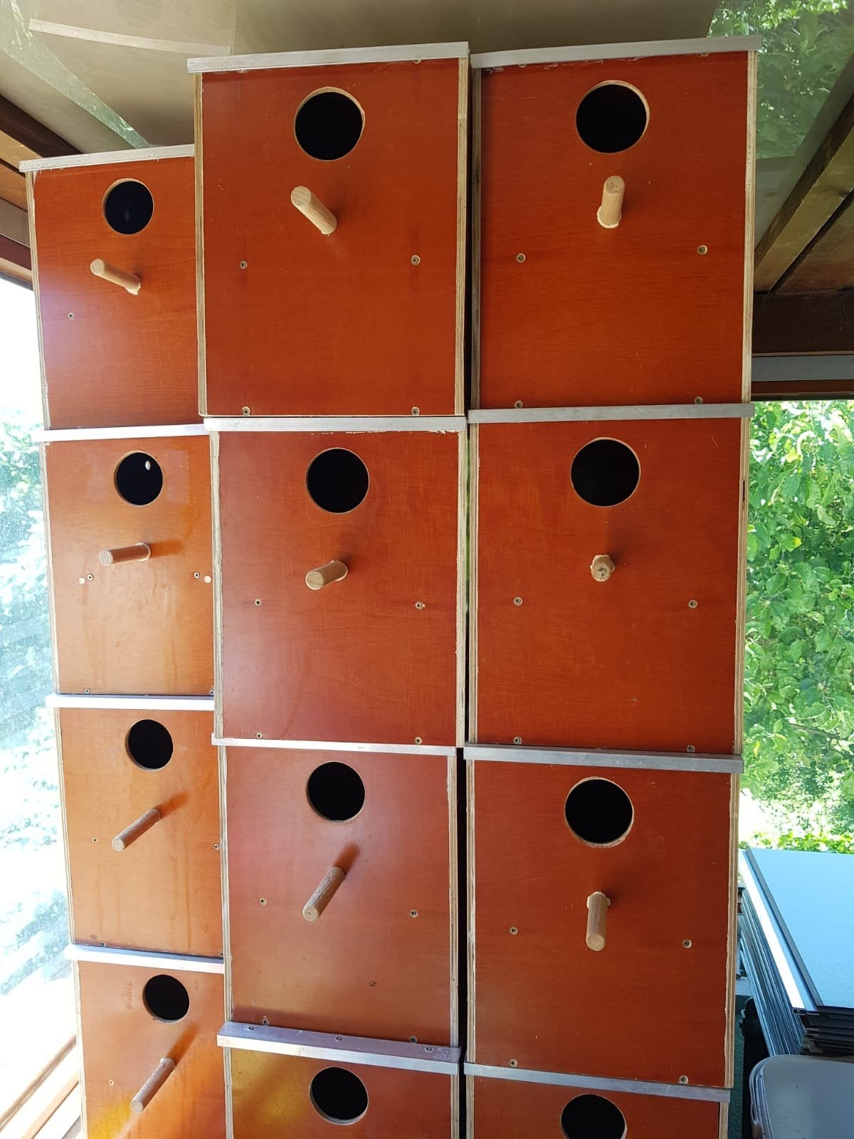 nestblok, Dieren en Toebehoren, Ophalen of Verzenden, Nieuw, Hout, Vogelkooi