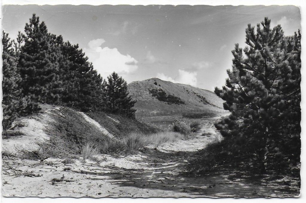 Burgh Haamstede Westenschouwen Oude Ansichtkaart ( B1228 ), Ophalen of Verzenden, 1960 tot 1980, Gelopen