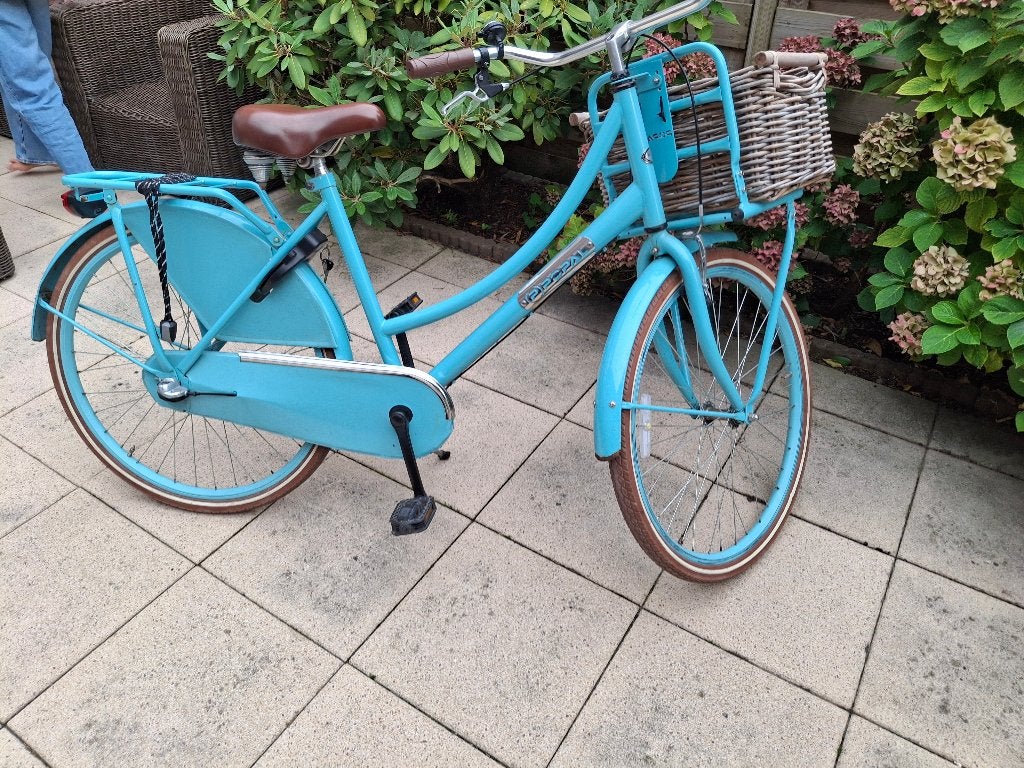 Fiets meisje, Ophalen, Terugtraprem, Handrem, Popal