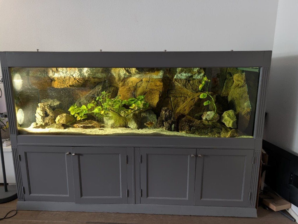 Groot Aquarium 220x70x70, Ophalen, Inclusief toebehoren, Gebruikt, Leeg aquarium