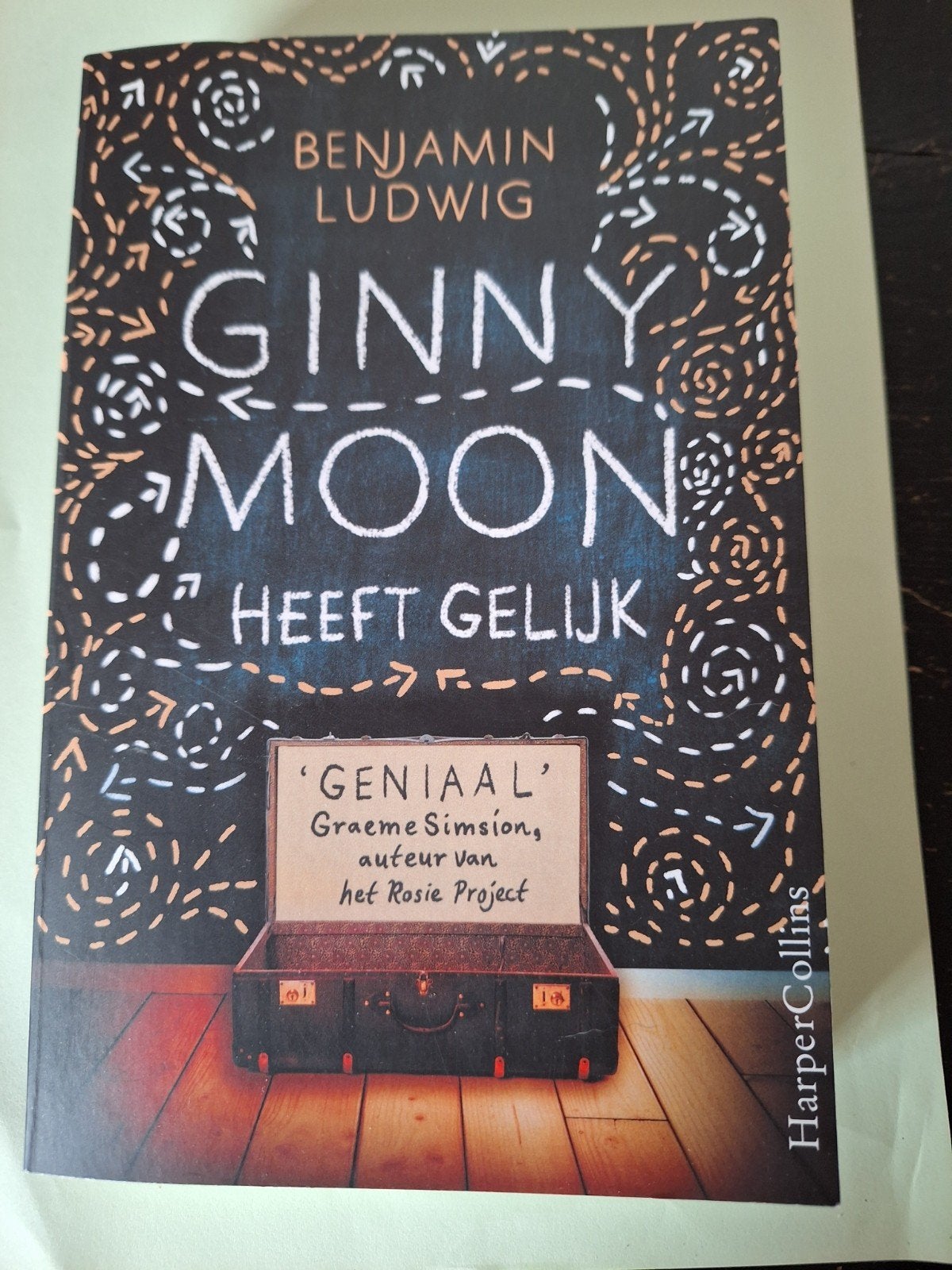 Benjamin Ludwig - Ginny Moon heeft gelijk, Ophalen of Verzenden, Zo goed als nieuw, Benjamin Ludwig