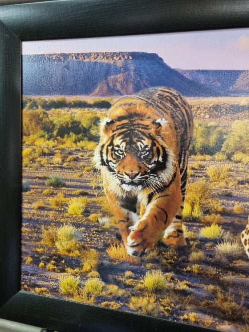 Schilderij prent tijger leeuw jaguar, Huis en Inrichting, Woonaccessoires | Schilderijen, Tekeningen en Foto's, Ophalen of Verzenden