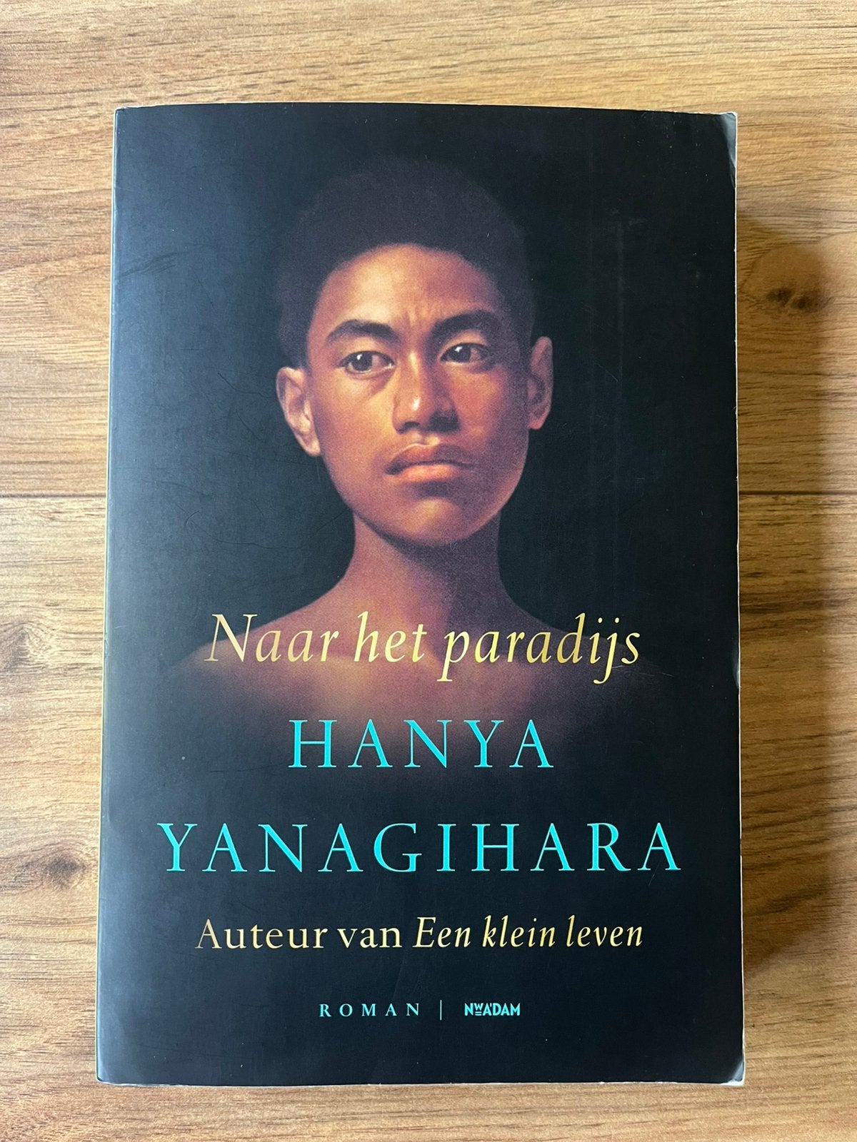 Naar het paradijs, Hanya Yanagihara, Boeken, Ophalen of Verzenden, Gelezen