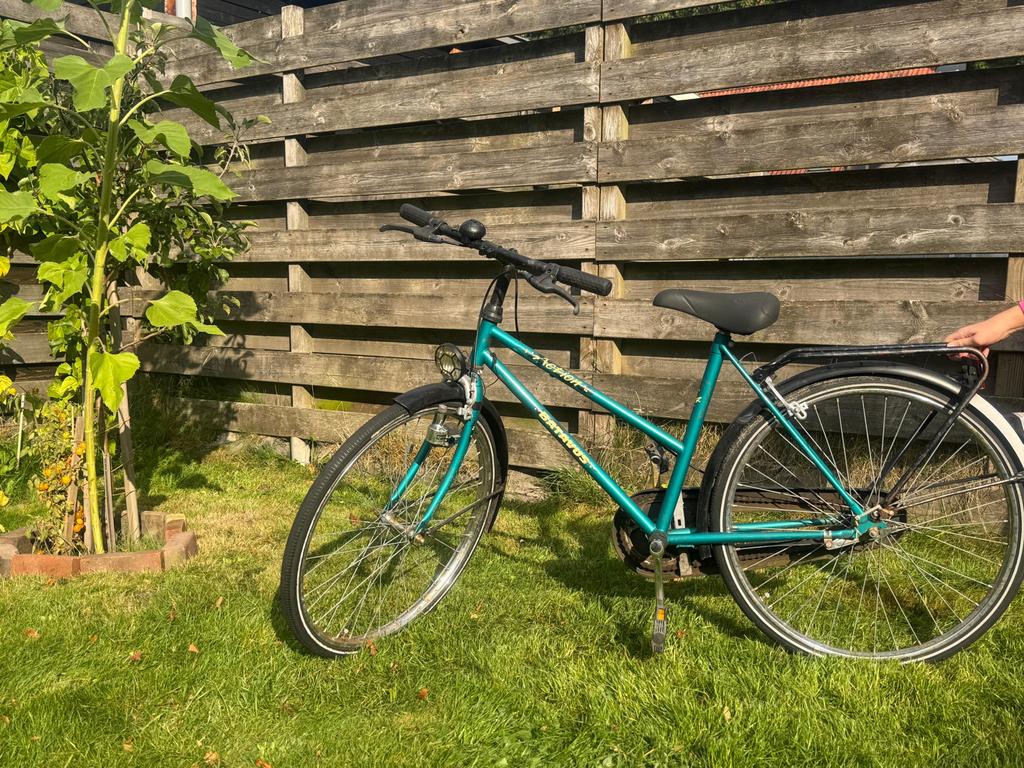 Batavus fiets - Groen - Goede staat, Fietsen en Brommers, Fietsen | Dames | Damesfietsen, Ophalen, Terugtraprem, Gebruikt, Batavus