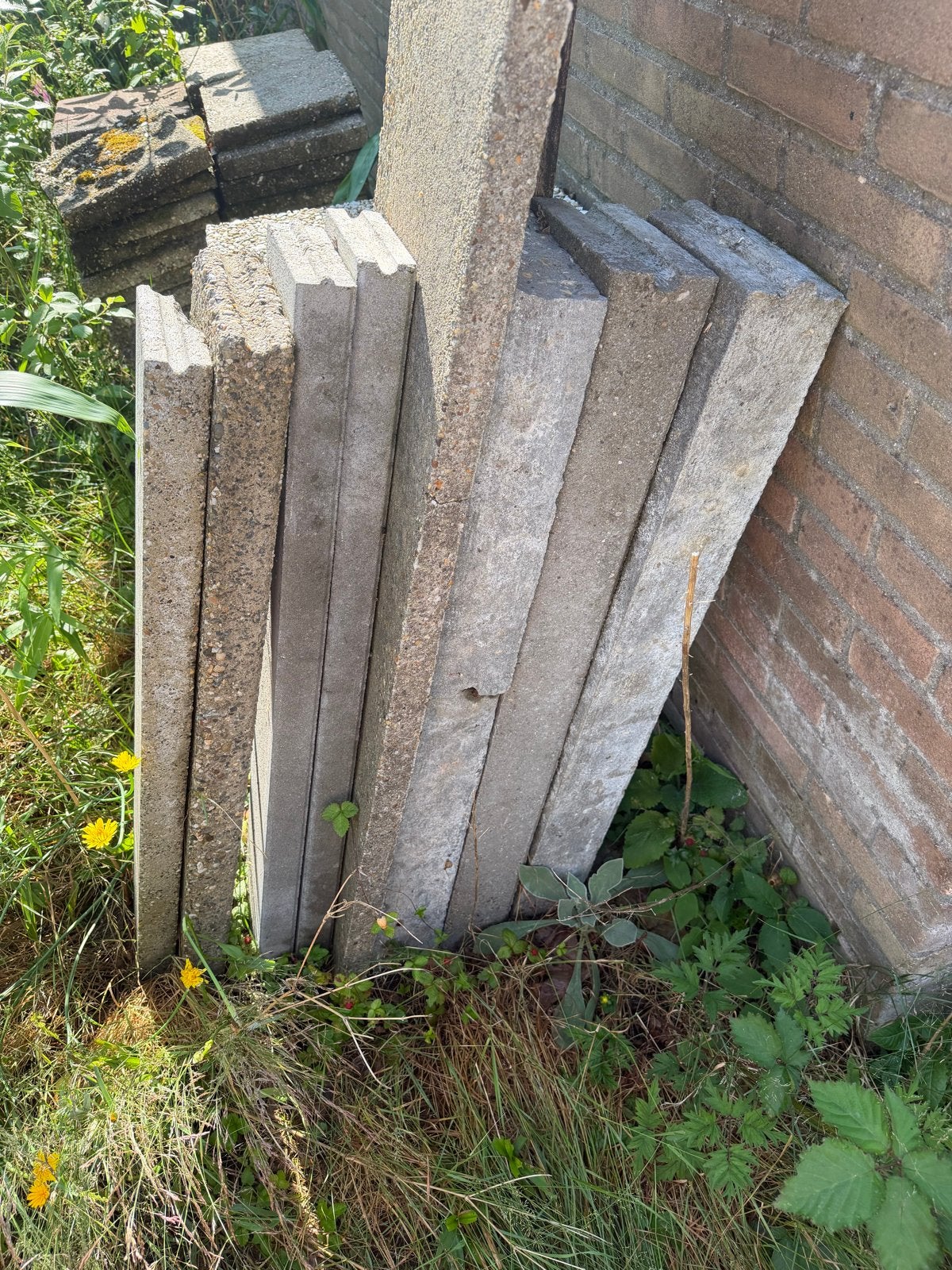 Terrastegels en stoepbandjes GRATIS, Tuin en Terras, Tegels en Klinkers, Ophalen, Gebruikt, 10 m² of meer, Beton