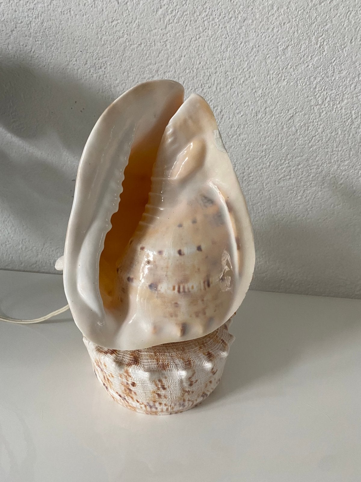 Retro/vintage lamp, schelp, Ophalen