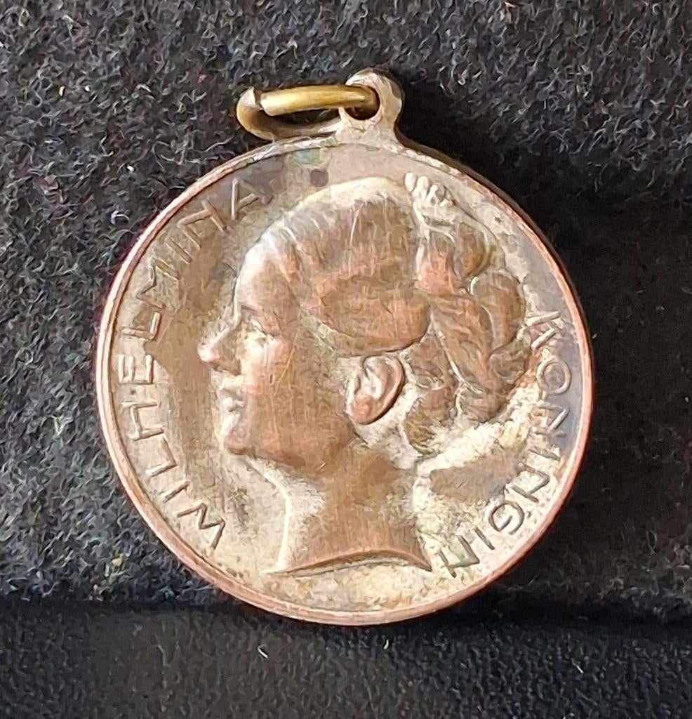 penning Koningin Wilhelmina (19), Ophalen of Verzenden, Overige materialen, Nederland