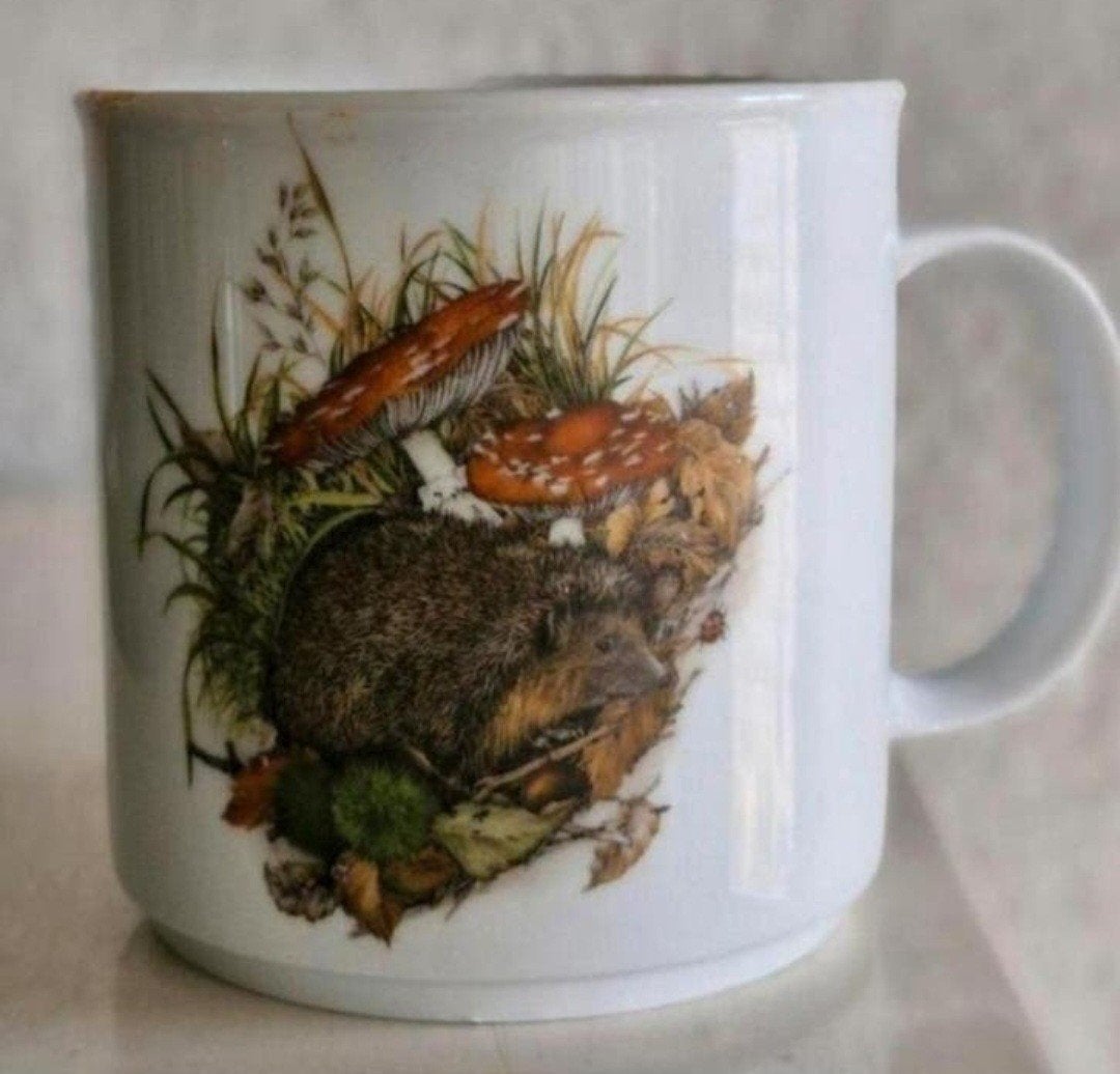 Beker met Egel opdruk, Ophalen of Verzenden, Zo goed als nieuw, Overige stijlen, Kop(pen) en/of Schotel(s)
