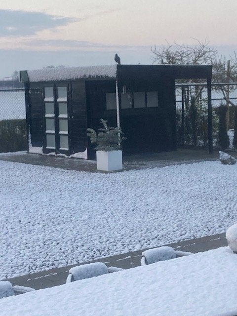 TUINHUIS, Tuin en Terras, Tuinhuizen, Ophalen, 250 tot 500 cm, Met overkapping, Hout