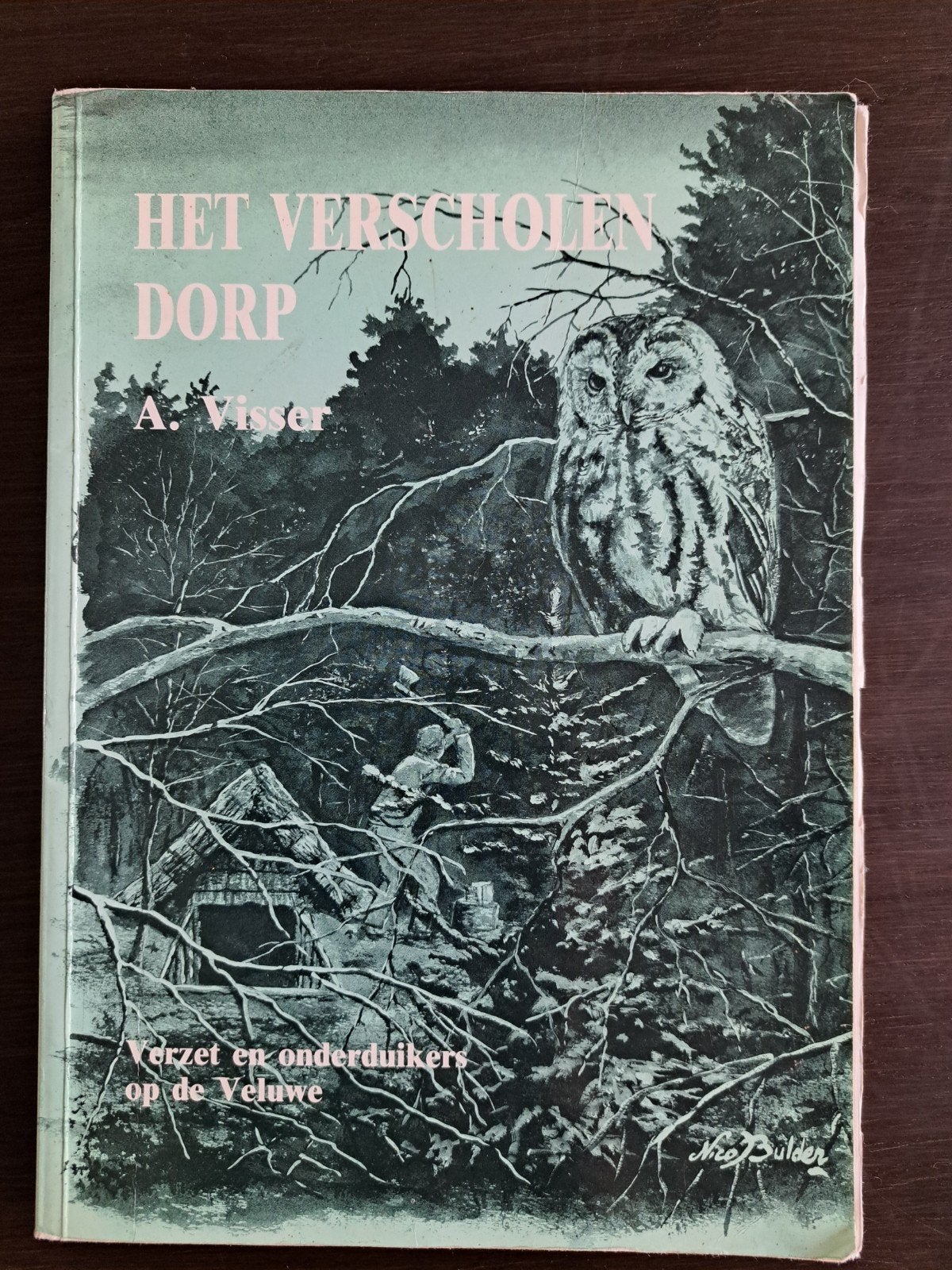 A. Visser - Het verscholen dorp Verzet -onderduikers Veluwe, Tweede Wereldoorlog, Ophalen of Verzenden, Zo goed als nieuw, A. Visser