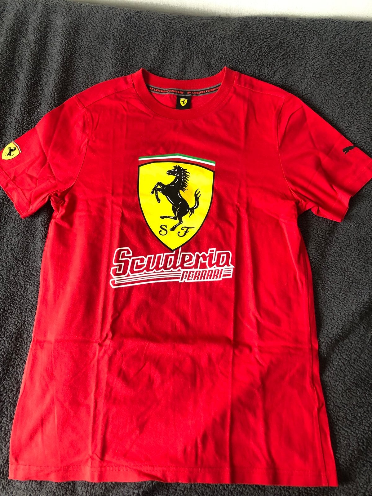 Puma Ferrari T-shirt Rood Maat S, Ophalen, Zo goed als nieuw, Maat 46 (S) of kleiner, Rood