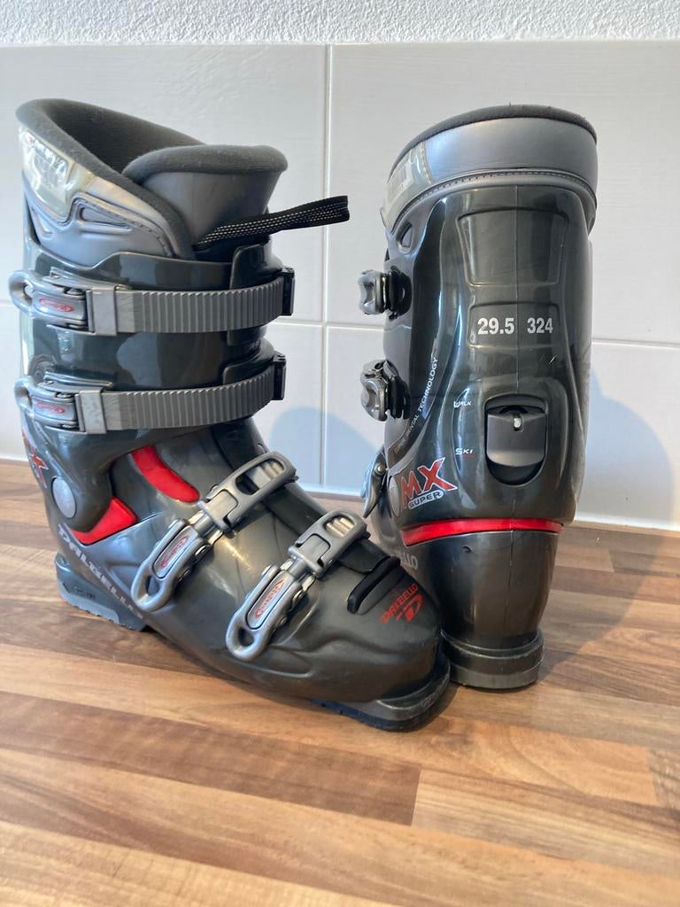 Goede Dalbello skischoenen maat 44 (29,5), Sport en Fitness, Skiën en Langlaufen, Gebruikt, Schoenen, Skiën, Overige merken, 160 tot 180 cm