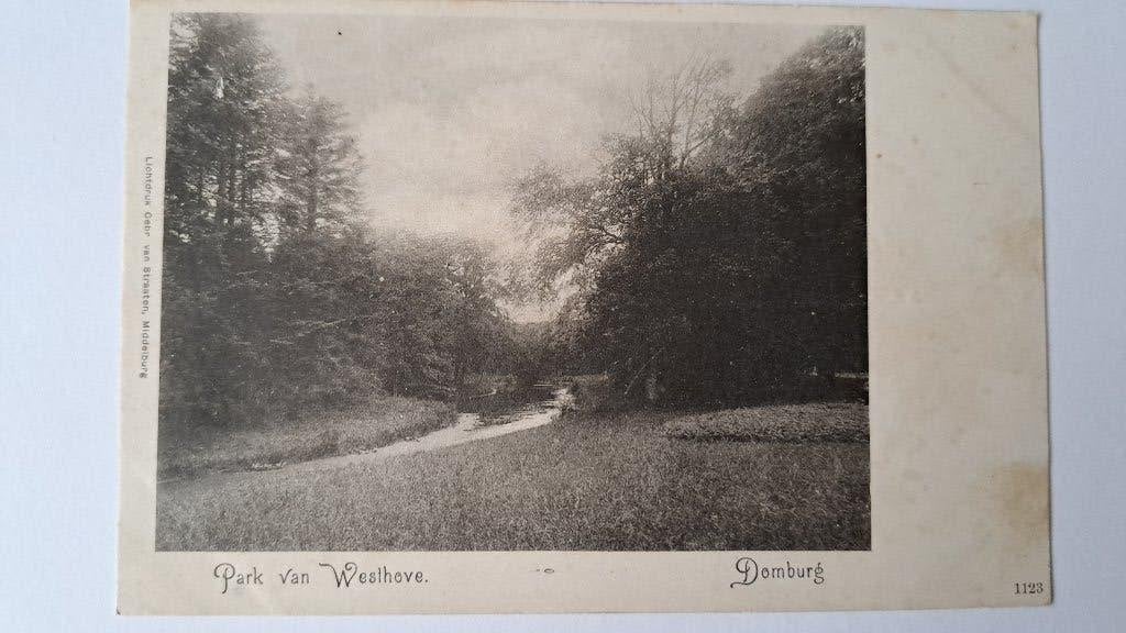 ansichtkaart Park van Westhove te Domburg, Ophalen of Verzenden, 1980 tot heden, Ongelopen, Zeeland