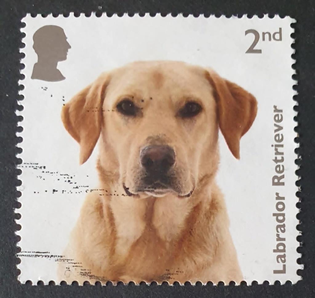 126-26 Engeland / Labrador Retriever, Verzenden, Gestempeld
