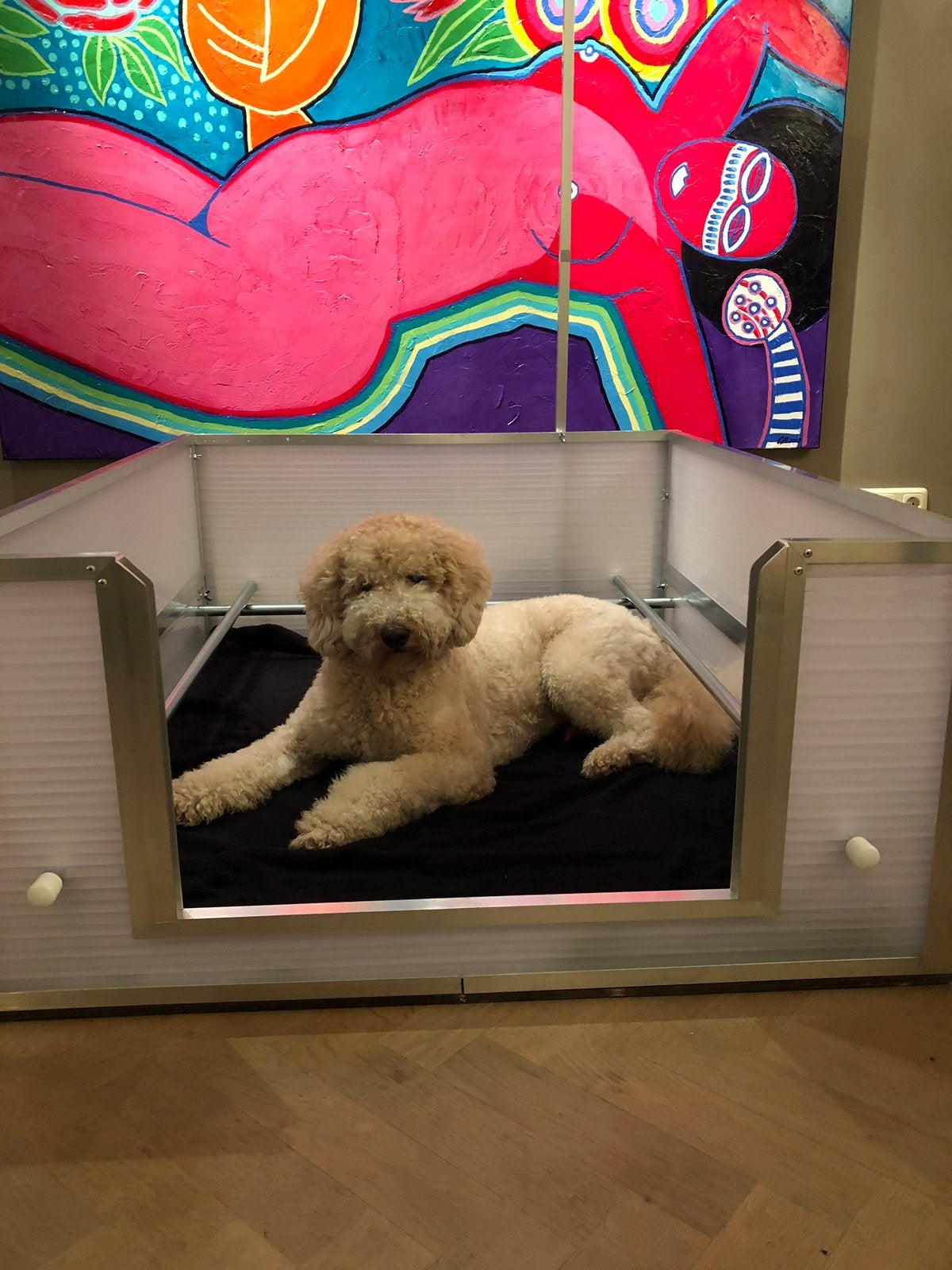 huur/verhuur werpkist met anti doodlig stangen voor honden, Ophalen, Zo goed als nieuw, 110 cm of meer, Minder dan 65 cm