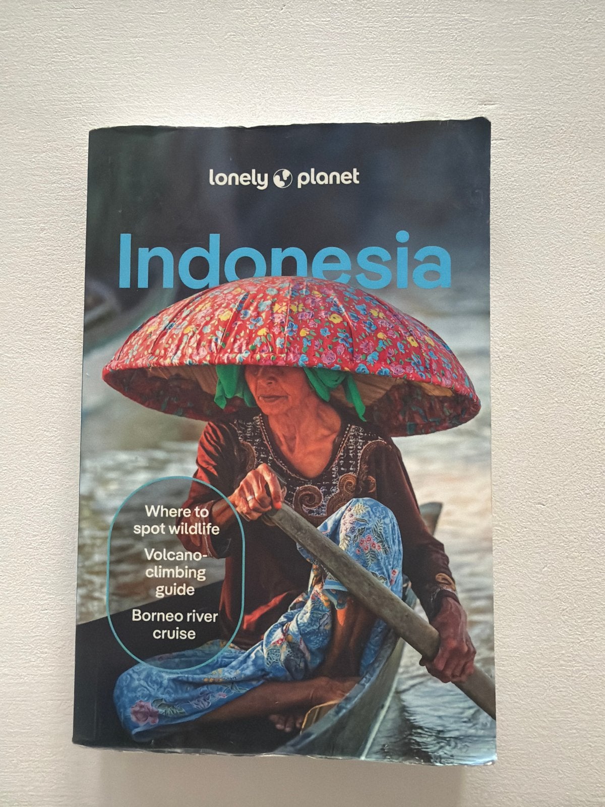 Lonely Planet Indonesië Reisgids, Boeken, Lonely Planet, Ophalen of Verzenden, Zo goed als nieuw, Reisgids of -boek